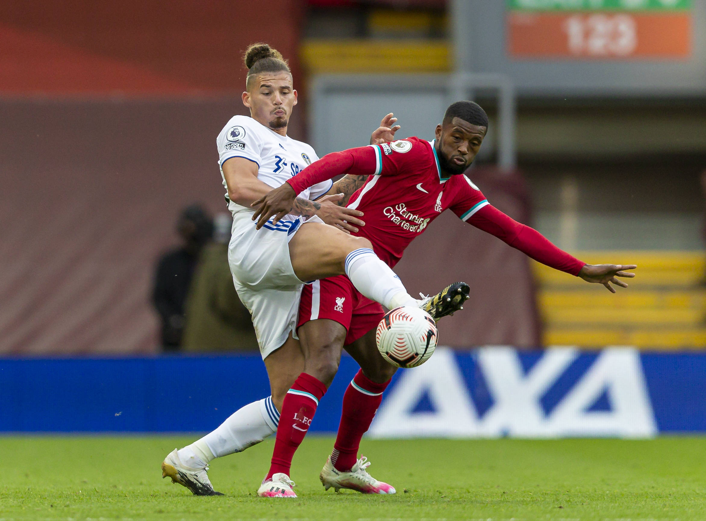 的薪资结构 的薪资结构